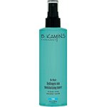 B Kamins Hydrogen-ion Moisturizing Toner Oily Skin