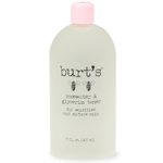 Burt's Bees Healthy Treatment Rosewater and Glycerin Toner For Sensitive and Mature Skin