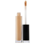 Calvin Klein Endless Crme Concealer 