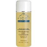 Ice Elements Revitalizing Gel Cleanser