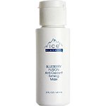 Ice Elements Blueberry Fusion Anti-Oxidant Mask