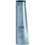 Joico Moisture Recovery Shampoo