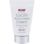 Now Solutions CoQ10 Antioxidant Cream