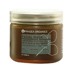 Pangea Organics Japanese Matcha Tea With Acai and Goji Berry Facial Mask