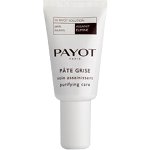 Payot Les Purifiantes Pate Grise Purifying Care