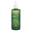 Aveda Botanical Kinetics Toning Mist