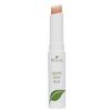 Boscia Jujube Salve Stick