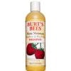 Burt's Bees More Moisture Raspberry & Brazil Nut Shampoo