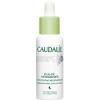 Caudalie Pulpe VitaminÃ©e Regenerating Concentrate