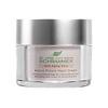 Dr. Schrammek Active Future Night Cream