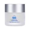 Ice Elements Edelweiss Night Recovery Cream