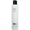 PCA Skin Gentle Exfoliant pHaze 4