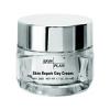 SkinPlan Skin Repair Day Cream